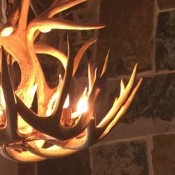 Whitetail Chandeliers (14)